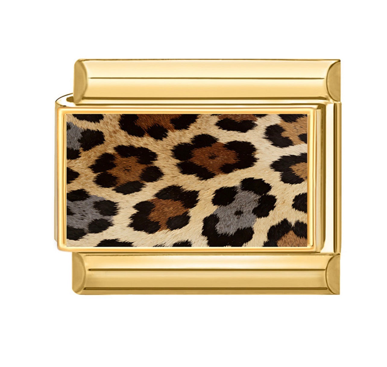 IB- Tigress