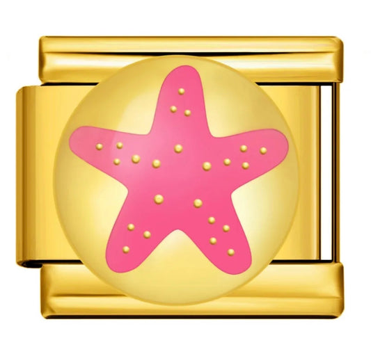 IB- Star Roses