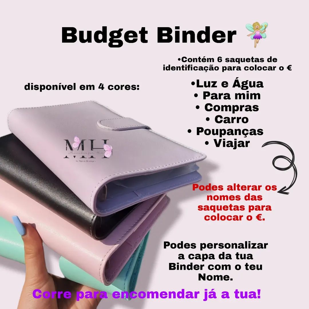 Carpeta de presupuesto