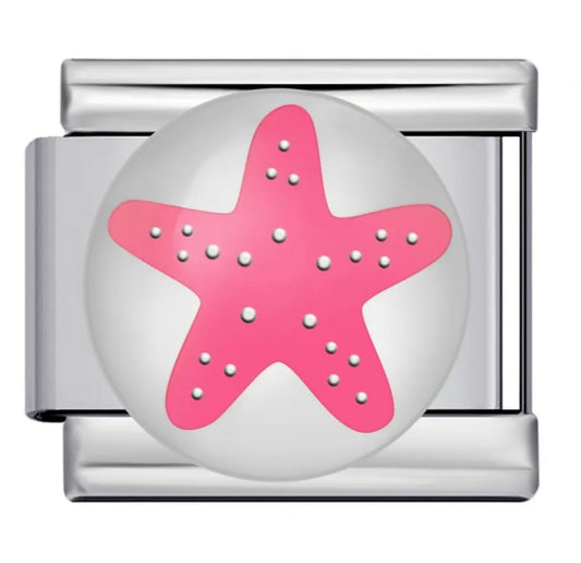IB- Star Roses