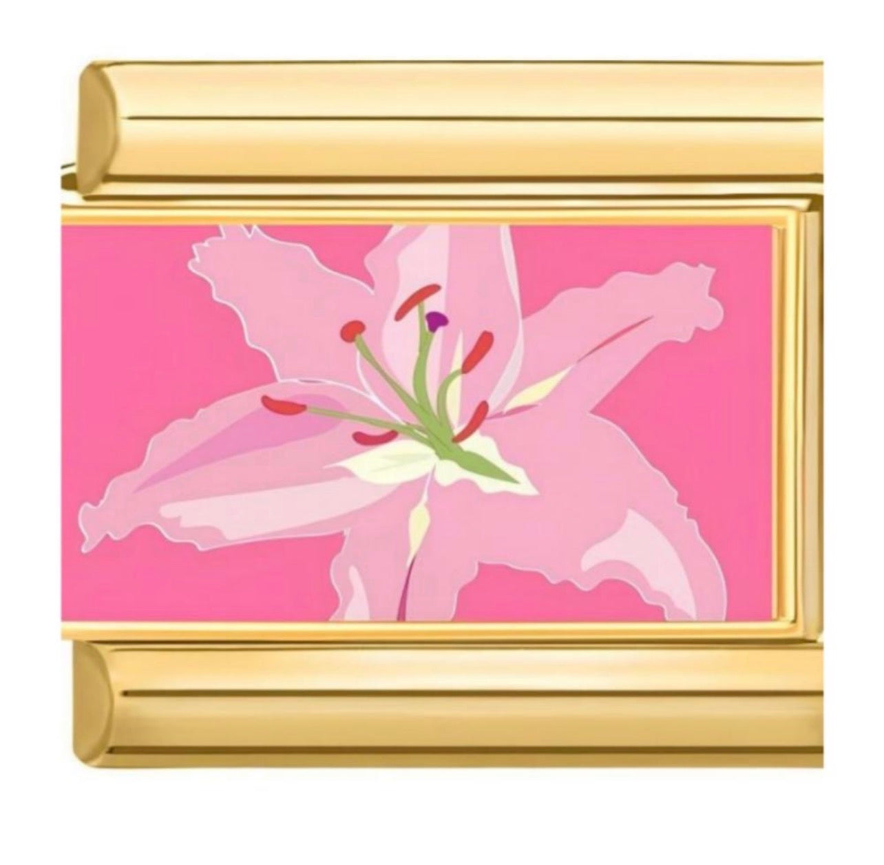 IB- Flor Rose